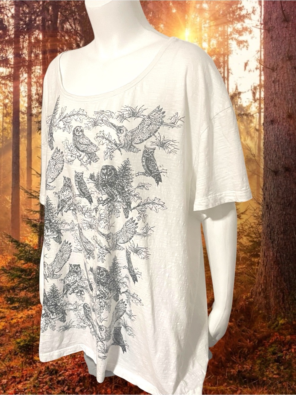 April Cornell Owl in the Woods Graphic Scoop Neck Tee Cream Cottagecore XL/XXL - Picture 2 of 12